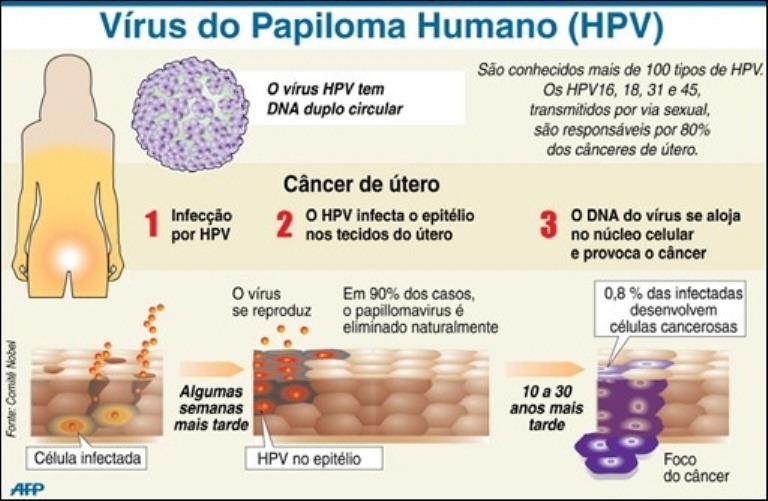 Laboratorio exame vacinas